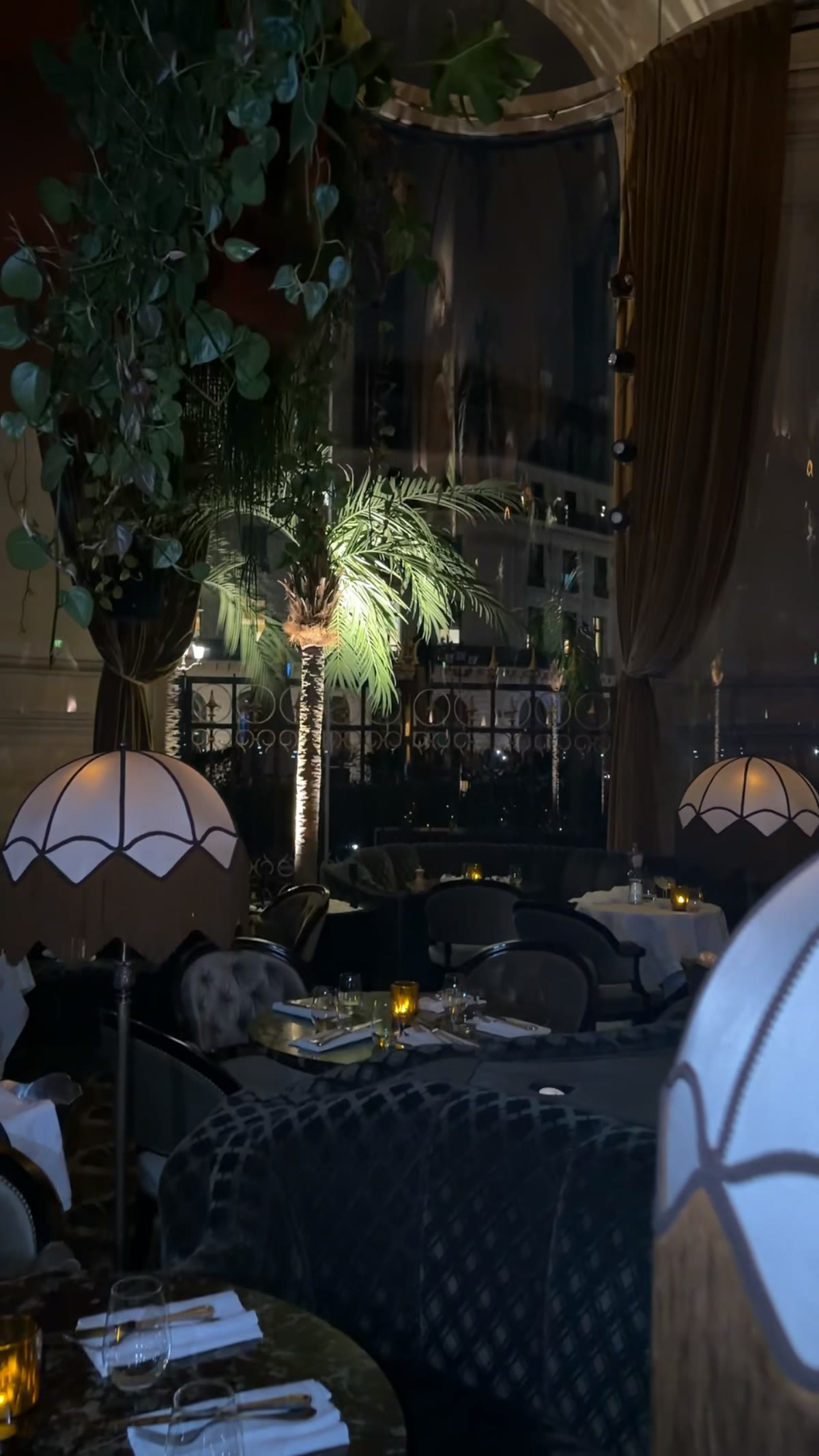 Dining room at night under palms and frosted glass lamps
