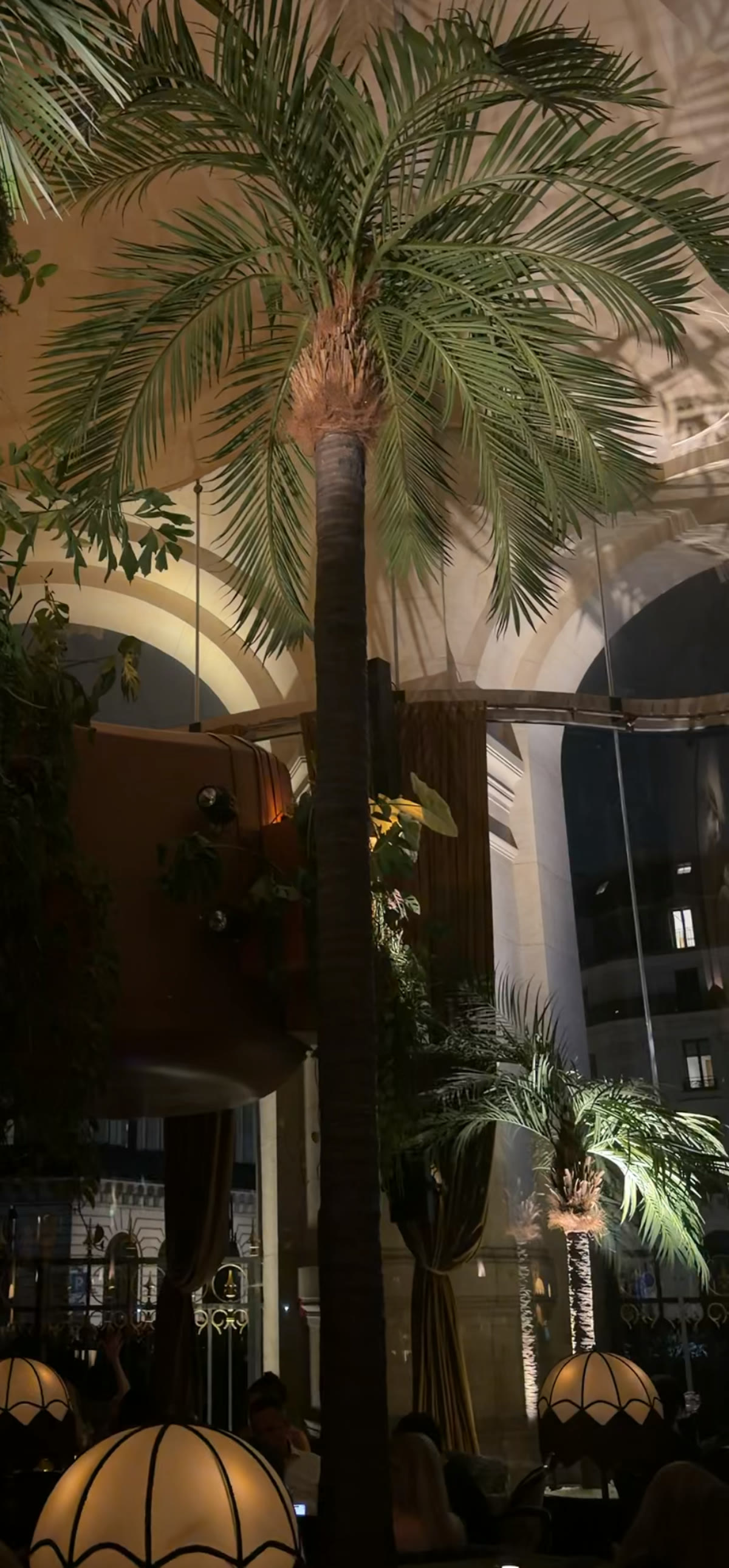 Palms and arched windows in a plant filled dining room